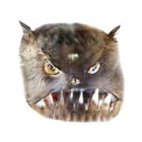 «Catspack» sticker set