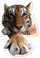 «Because Tigers» sticker set