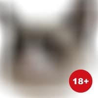 «myCats» sticker set