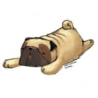 «CarlMops» sticker set