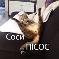 «cat» sticker set