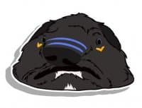 «Blobfish» sticker set
