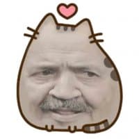 «Insultostocazzo» sticker set