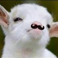 «Goat» sticker set