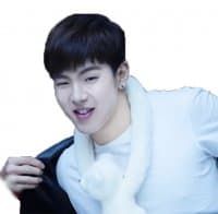 «shownu» sticker set