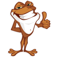 «Mr. Frogo» sticker set